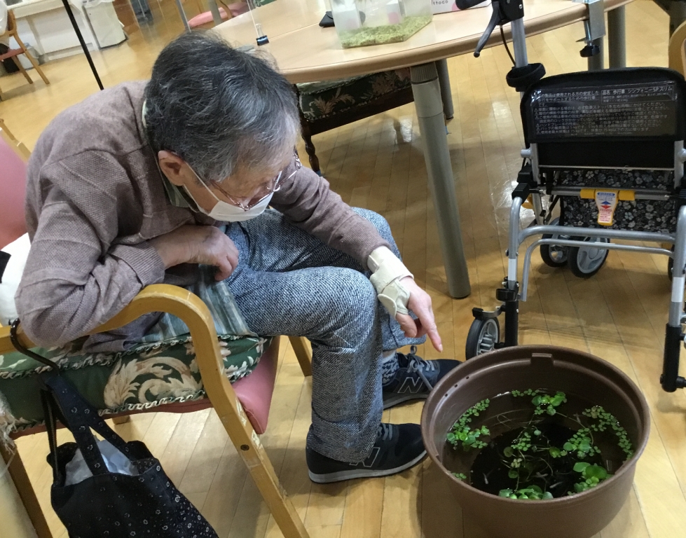 わー食べてる食べてる