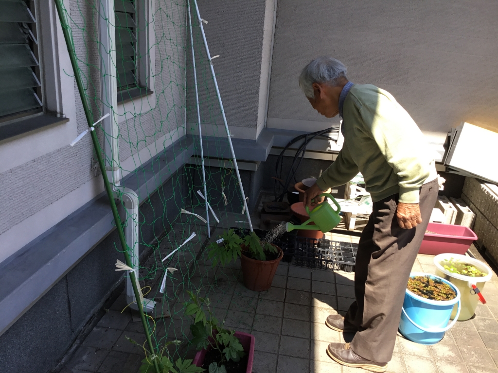 水やりも役割のひとつになっています。