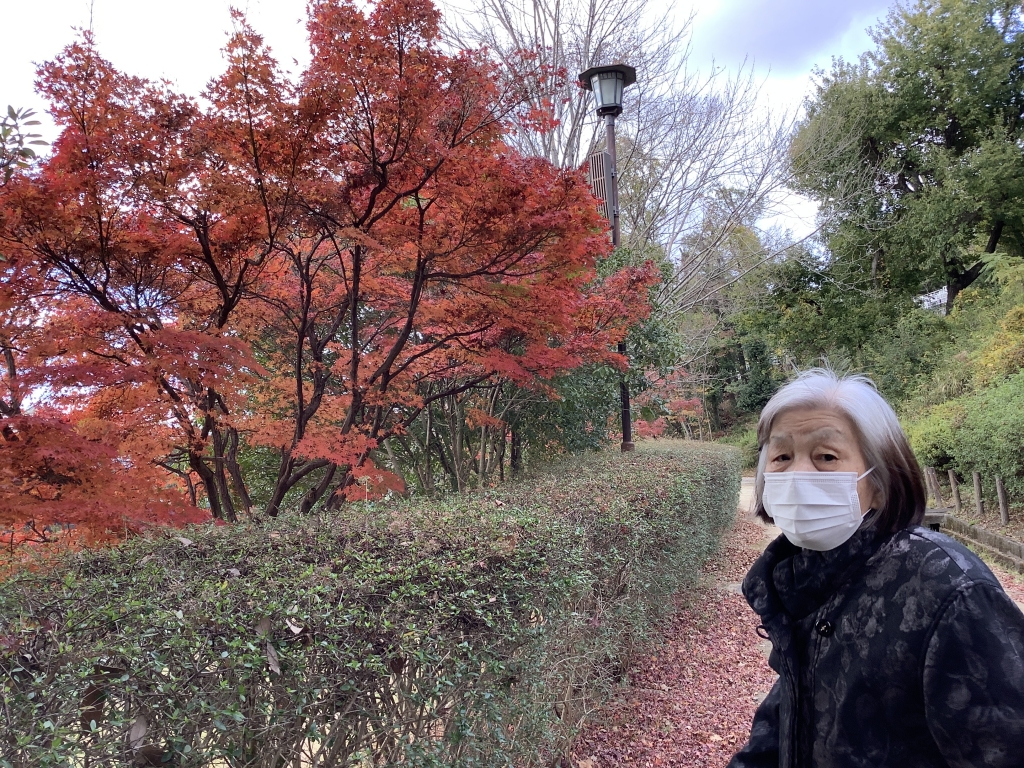 紅葉狩りに黄檗公園まで♪