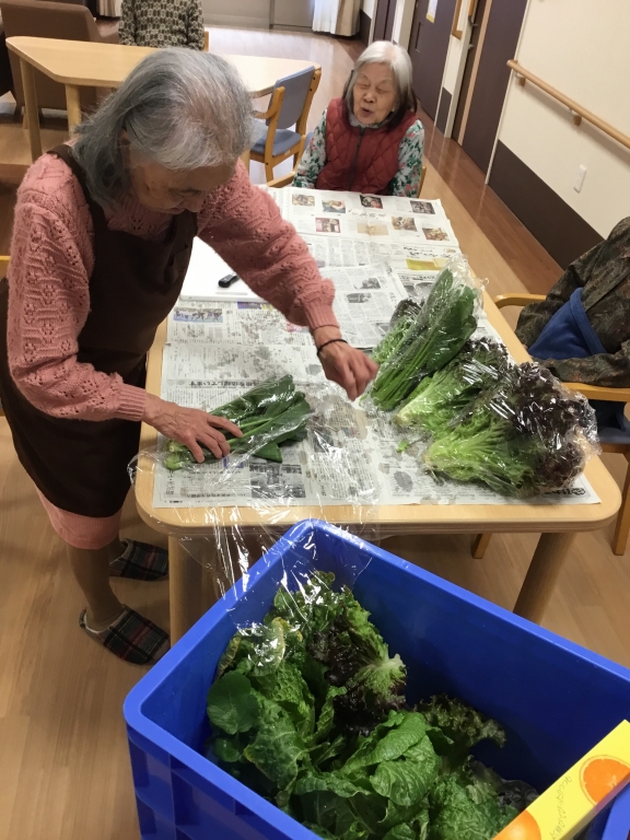 収穫した野菜の梱包作業