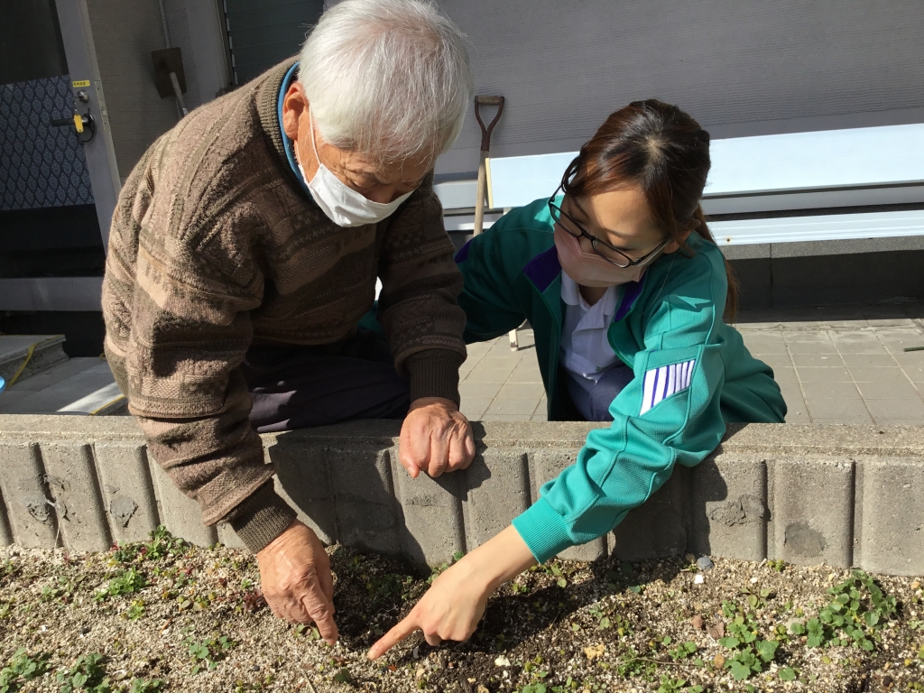 園芸ひろば「チューリップの芽が！？」