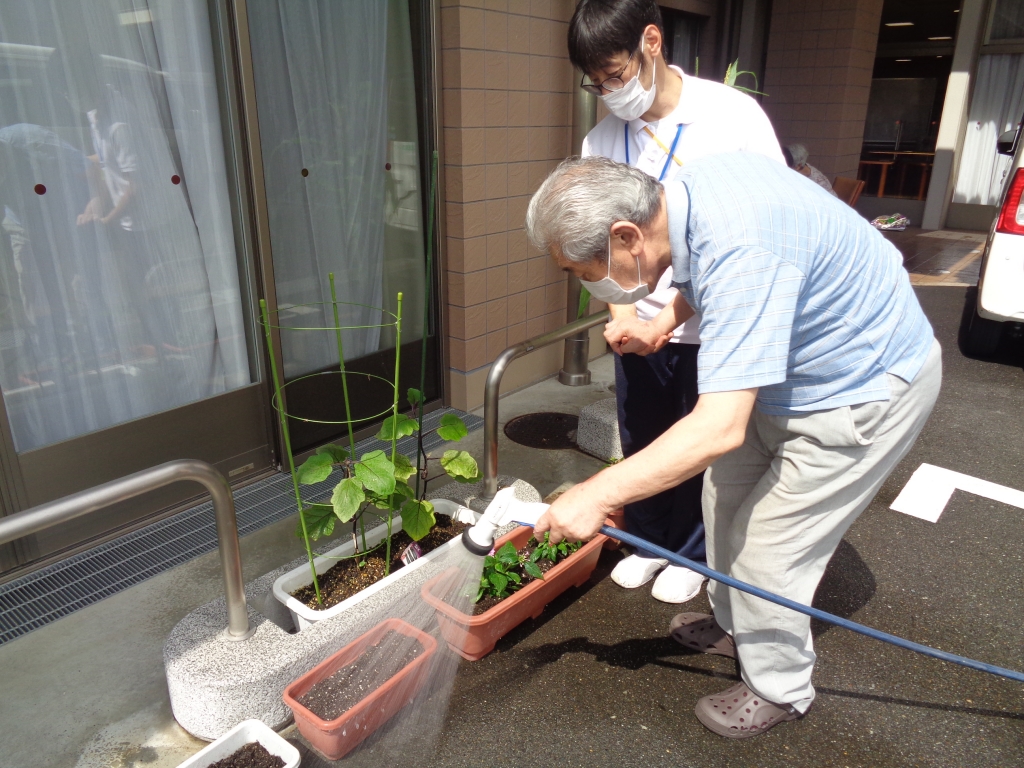 元気な芽が出ますように…！