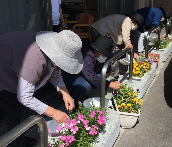 ポプリの花摘み