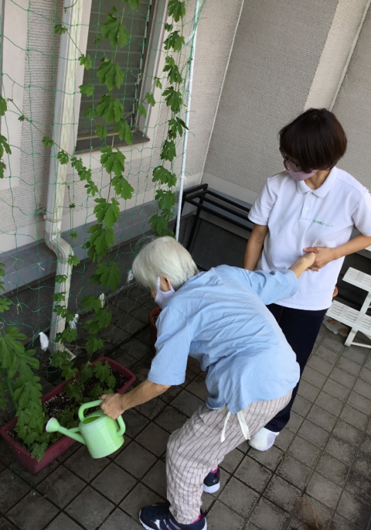 グリーンカーテンの水やりも役割のひとつ