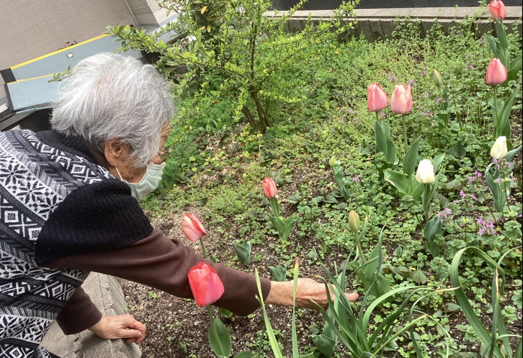 こんなに咲きました