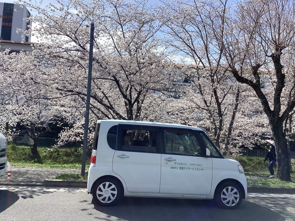 季節行事！３年ぶりのお花見ドライブへＧＯ