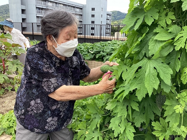 収穫祭です！