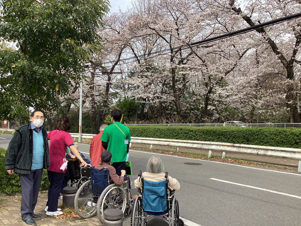 さくらお花見２０２４