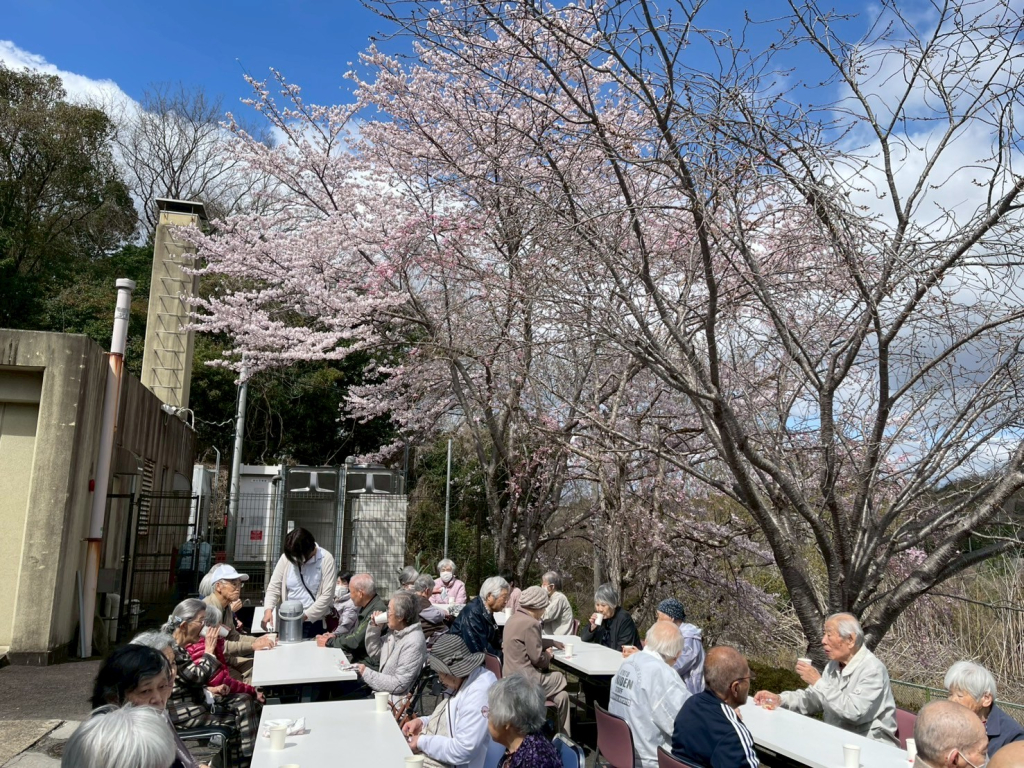施設お花見