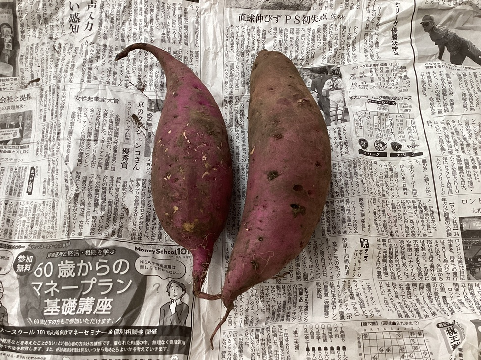 🍁秋の味覚を楽しむひととき🍠