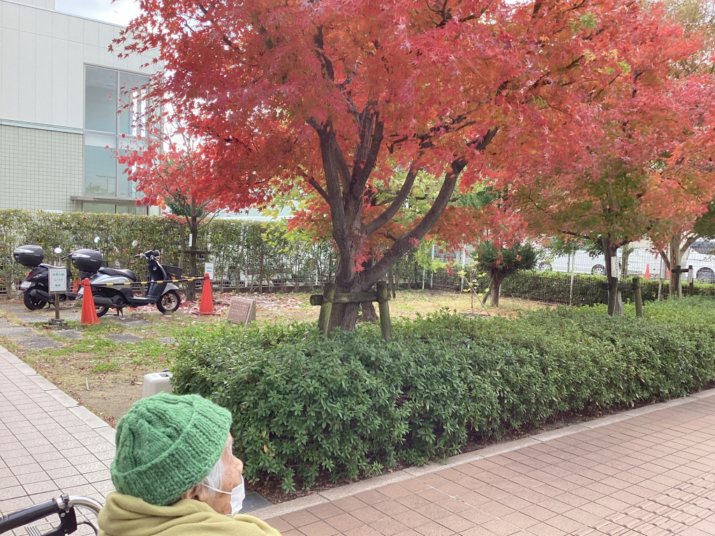 本格的なパンを!