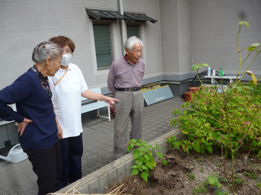 【屋外庭園】とうぶ園芸日記 14　(地域密着型)