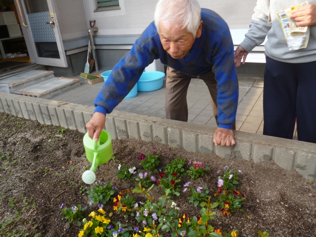 【屋外庭園】とうぶ園芸日記 16　(地域密着型)