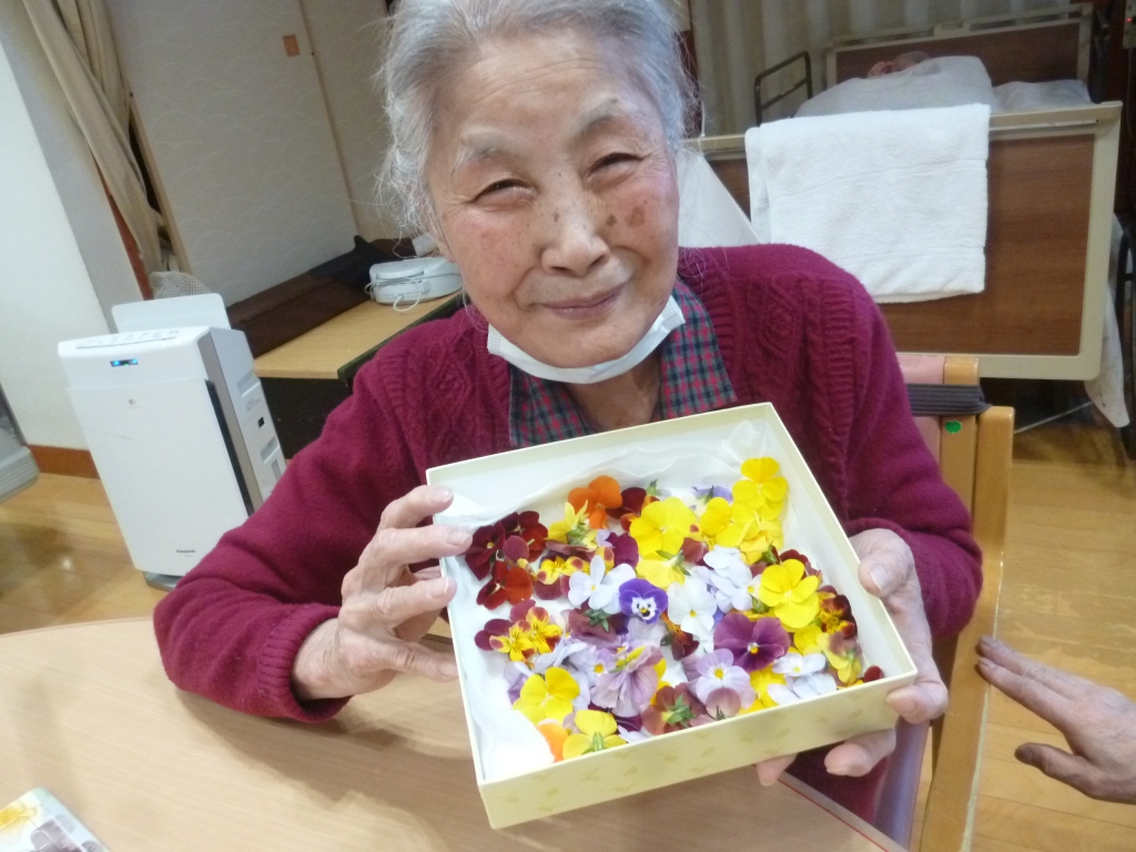 ビオラで押し花作り　(地域密着型)