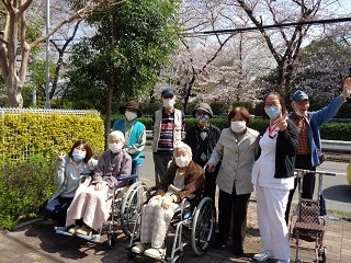 （ケアハウス）お花見へ出かけました。