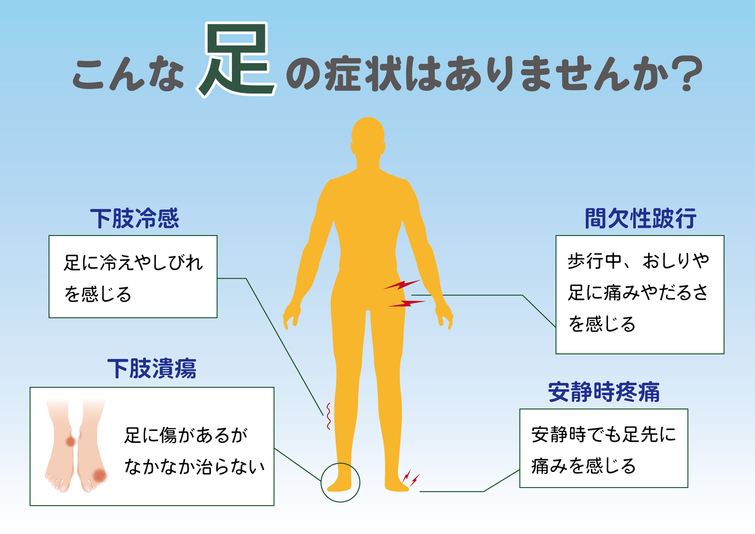 末梢動脈外来の役割