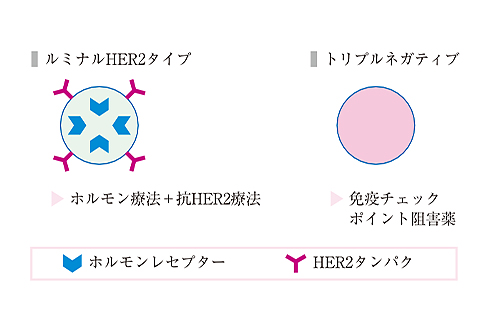 薬物療法とタイプ別治療