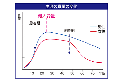 骨密度の変化